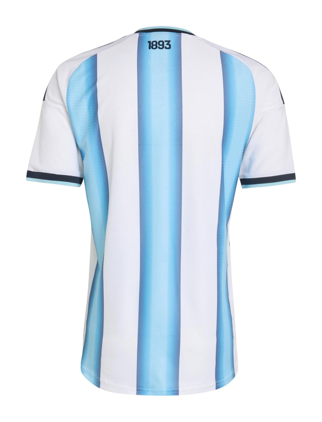 Argentina 2026 FIFA World Cup Home Jersey (Player Version)