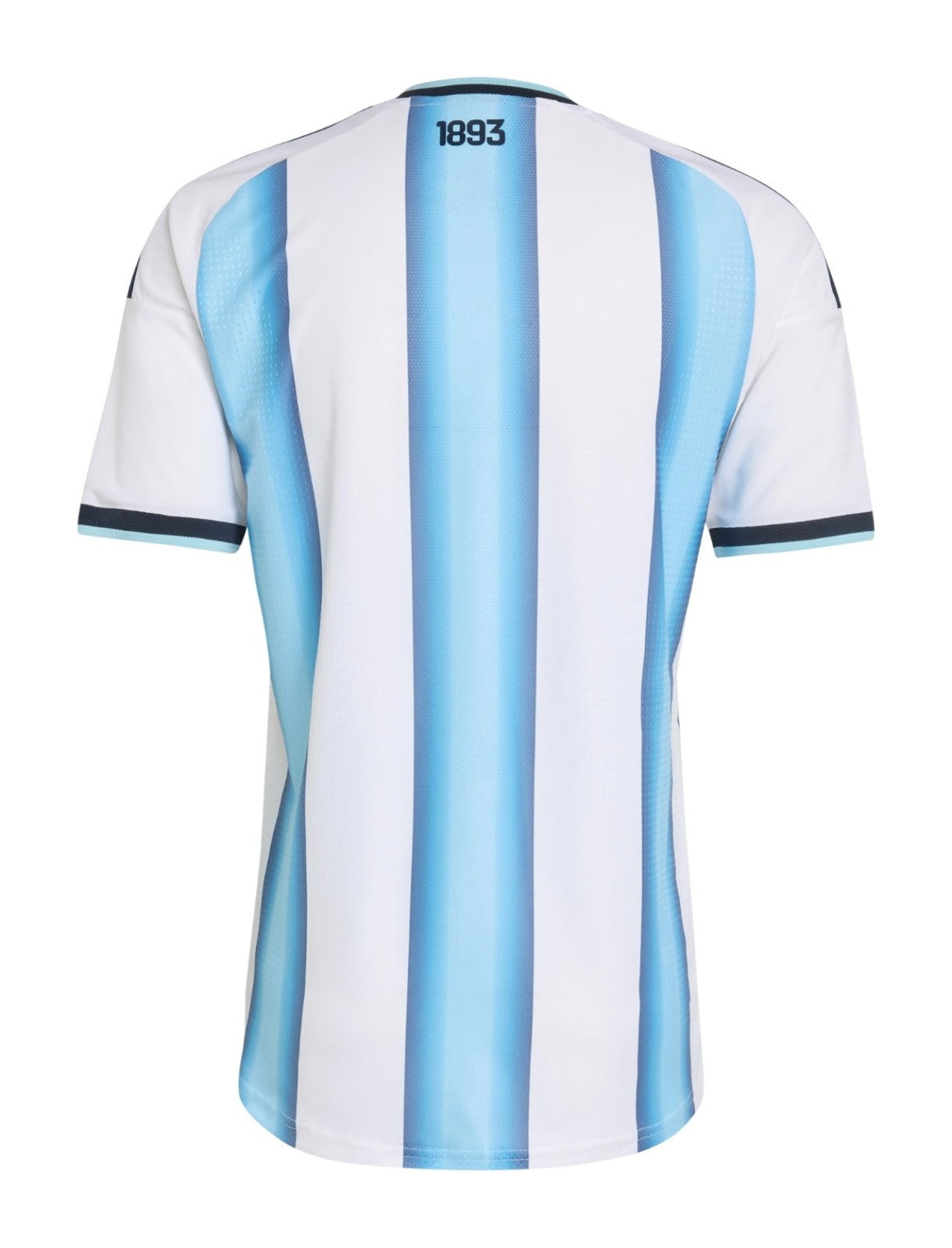 Argentina 2026 FIFA World Cup Home Jersey (Fan Version)