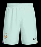 France Away Shorts 2026 (Fan Version)