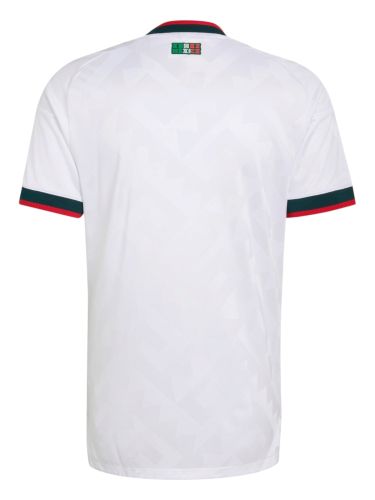 Mexico 2026 FIFA World Cup Away Jersey (Fan Version)